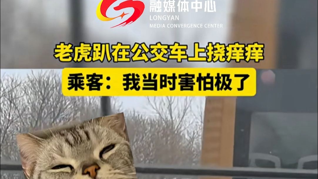 乘客：我当时害怕极了