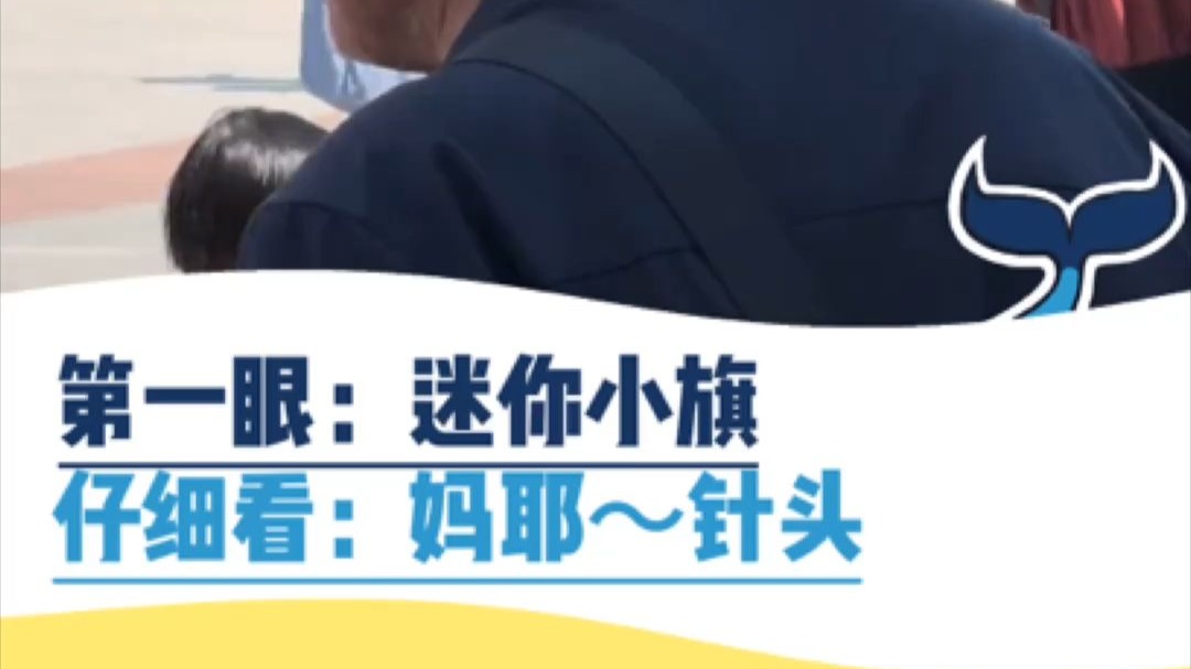 第一眼：迷你小旗     仔细一看：妈耶～针头