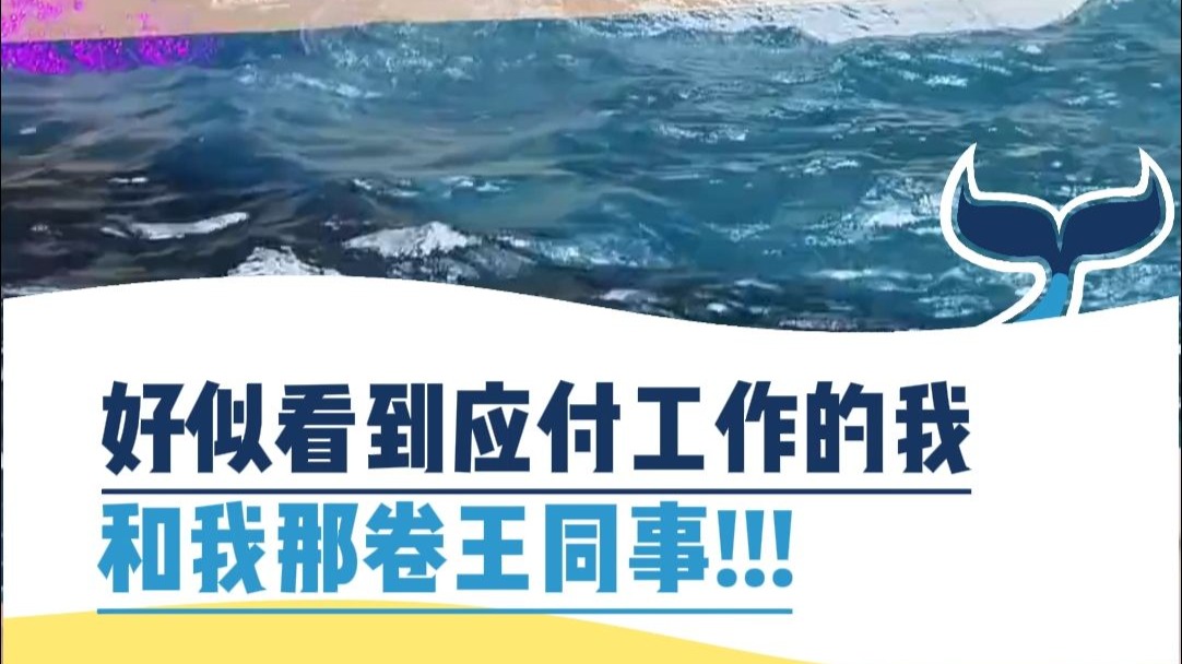 好似看到应付工作的我和我那卷王同事