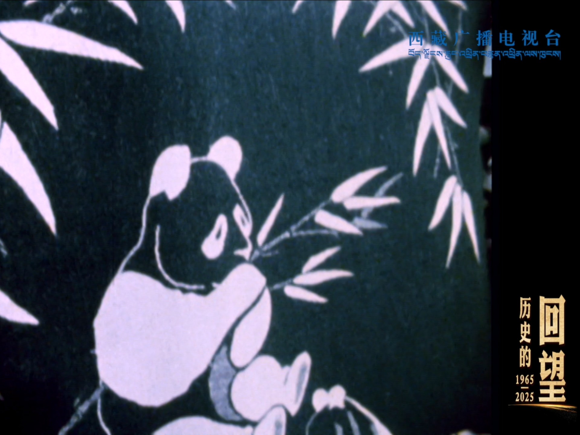 《历史的回望》第二集《“熊猫毛毯”背后的西藏记忆》