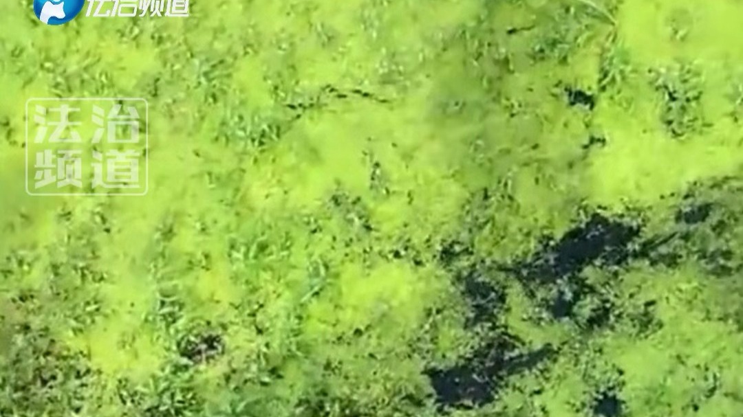 朋友钓鱼钓到奇怪生物 朝着男子跑来