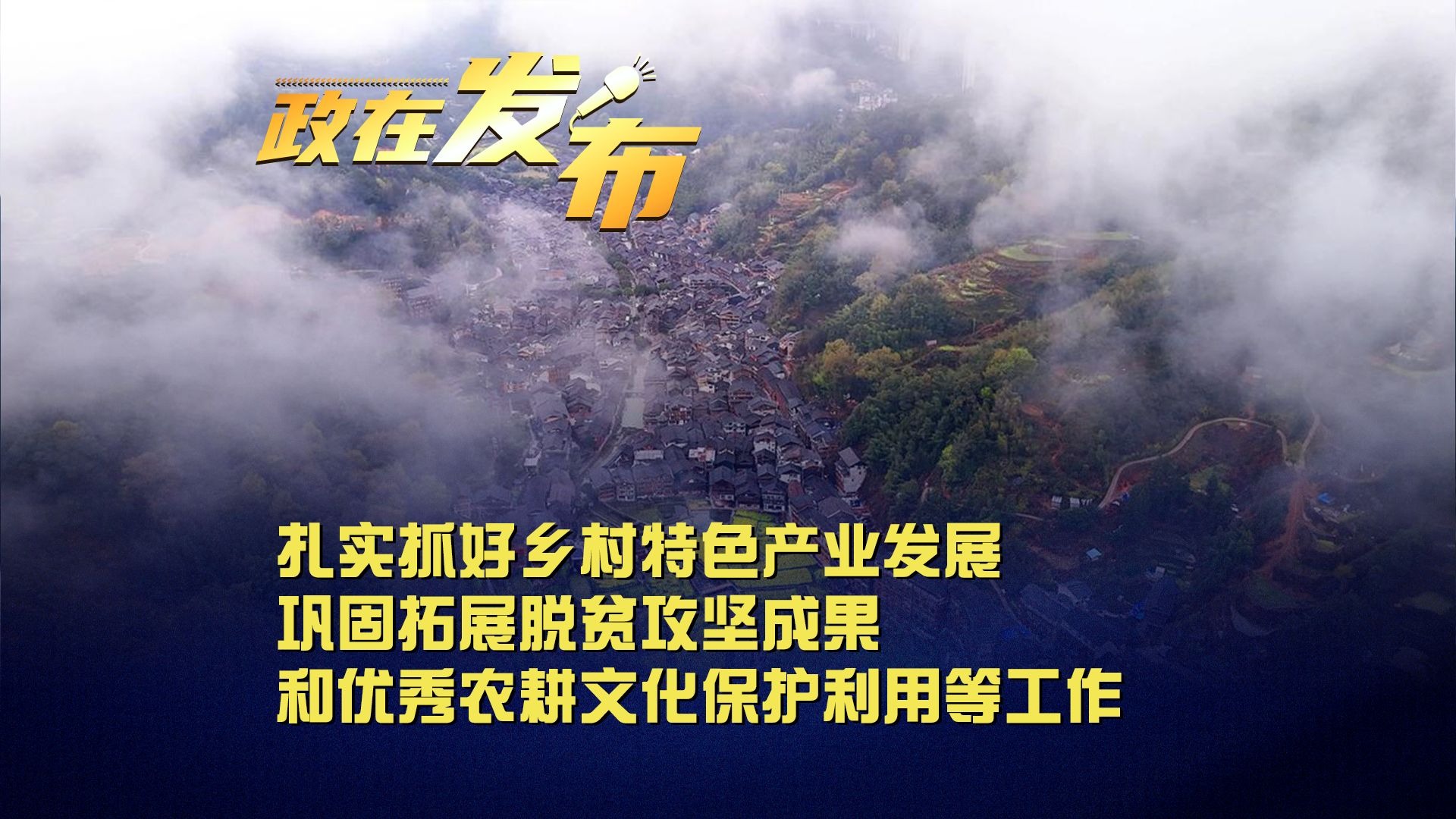 政在发布丨深入学习贯彻习近平总书记重要讲话精神 扎实抓好