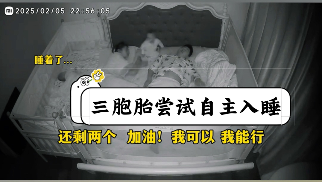 没有争吵 没有抱怨 恩爱到白头～#三胞胎