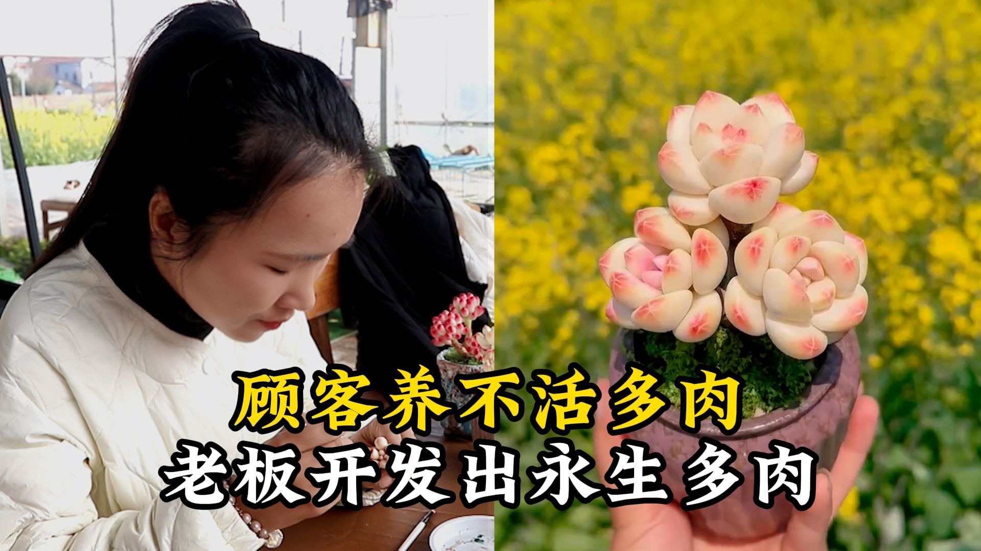 顾客养不活多肉老板开发出永生多肉