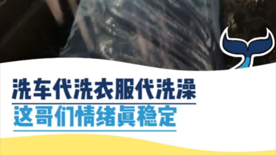 这哥们儿的情绪真稳定