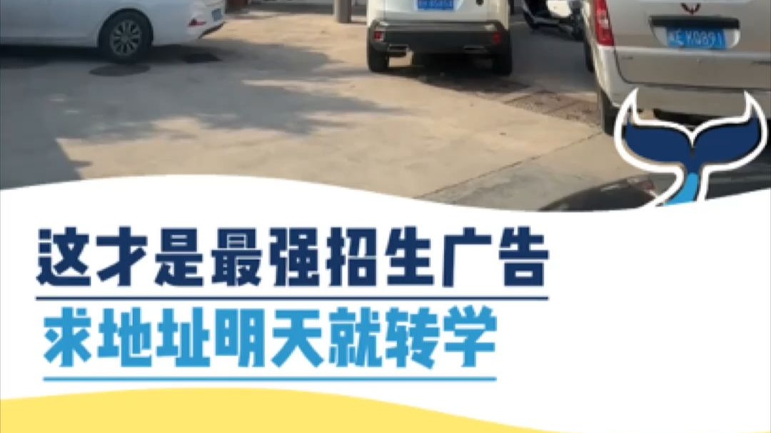 这才是最强招生广告，求地址明天就转学
