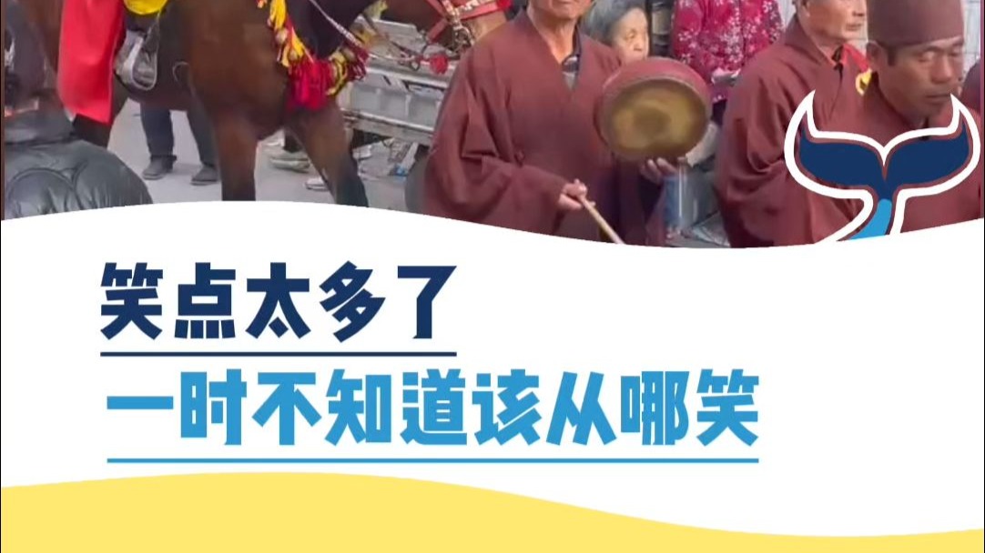 笑点太多了，一时不知道该从哪里笑