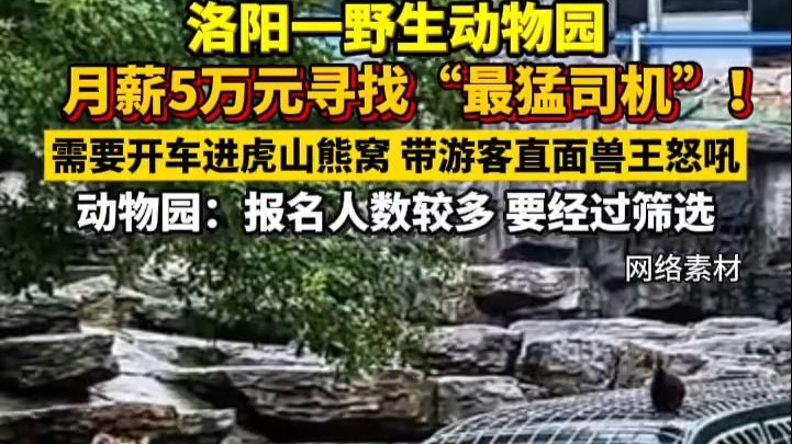 洛阳一野生动物园月薪5万元寻找“最猛司机”,动物园:报名人数 洛阳一野生动物园月薪5万元寻找“最猛司机”,动物园:报名人数