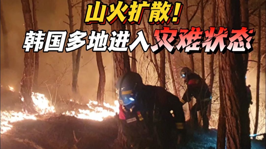 山火扩散！韩国庆尚道等多地进入灾难状态