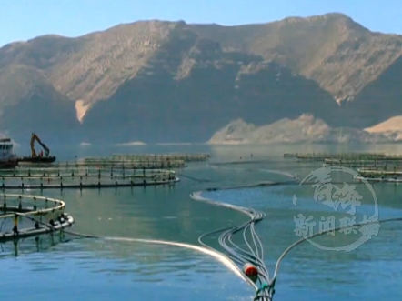 1月到5月青海农产品出口增速高居全国榜首