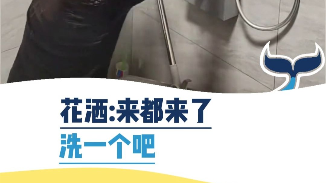花洒：来都来了 洗一个吧
