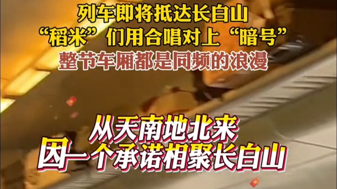 列车即将抵达长白山。“稻米”们用合唱对上“暗号”，整节车厢
