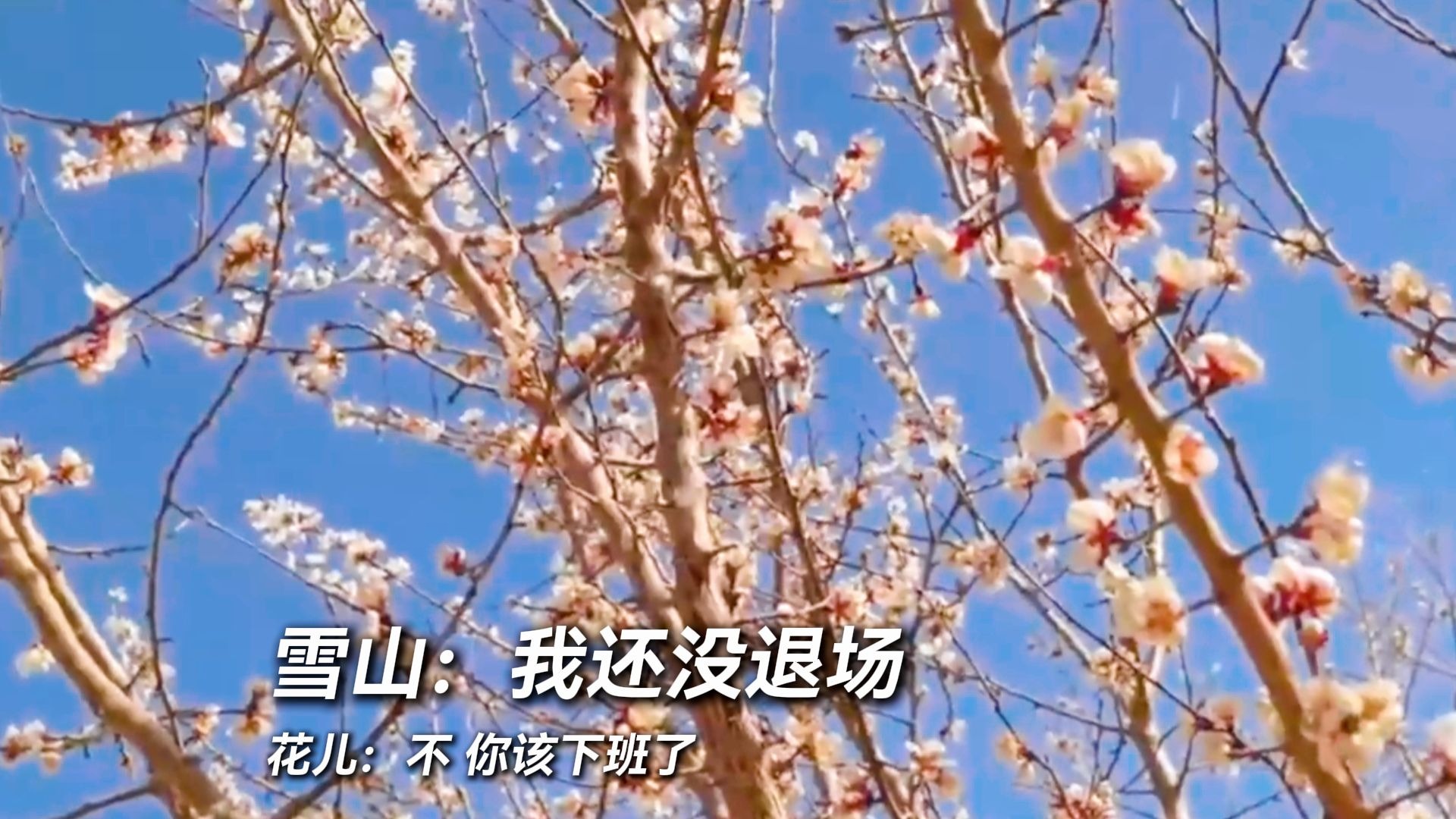 雪山：我还没退场 花儿：不，你该下班了！