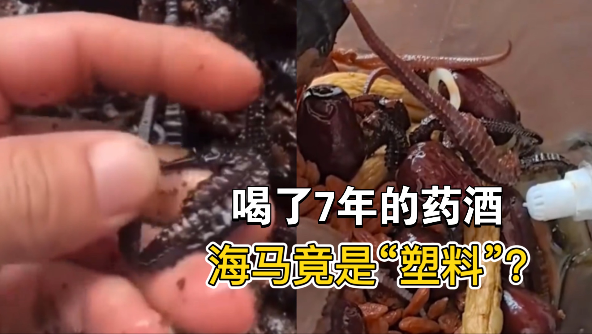 男子泡7年药酒发现海马药材是塑料，称海马是外出旅游时所买。