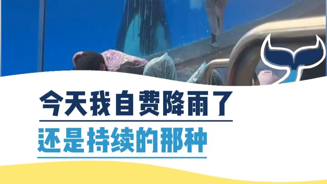 今天我自费降雨了，还是持续的那种