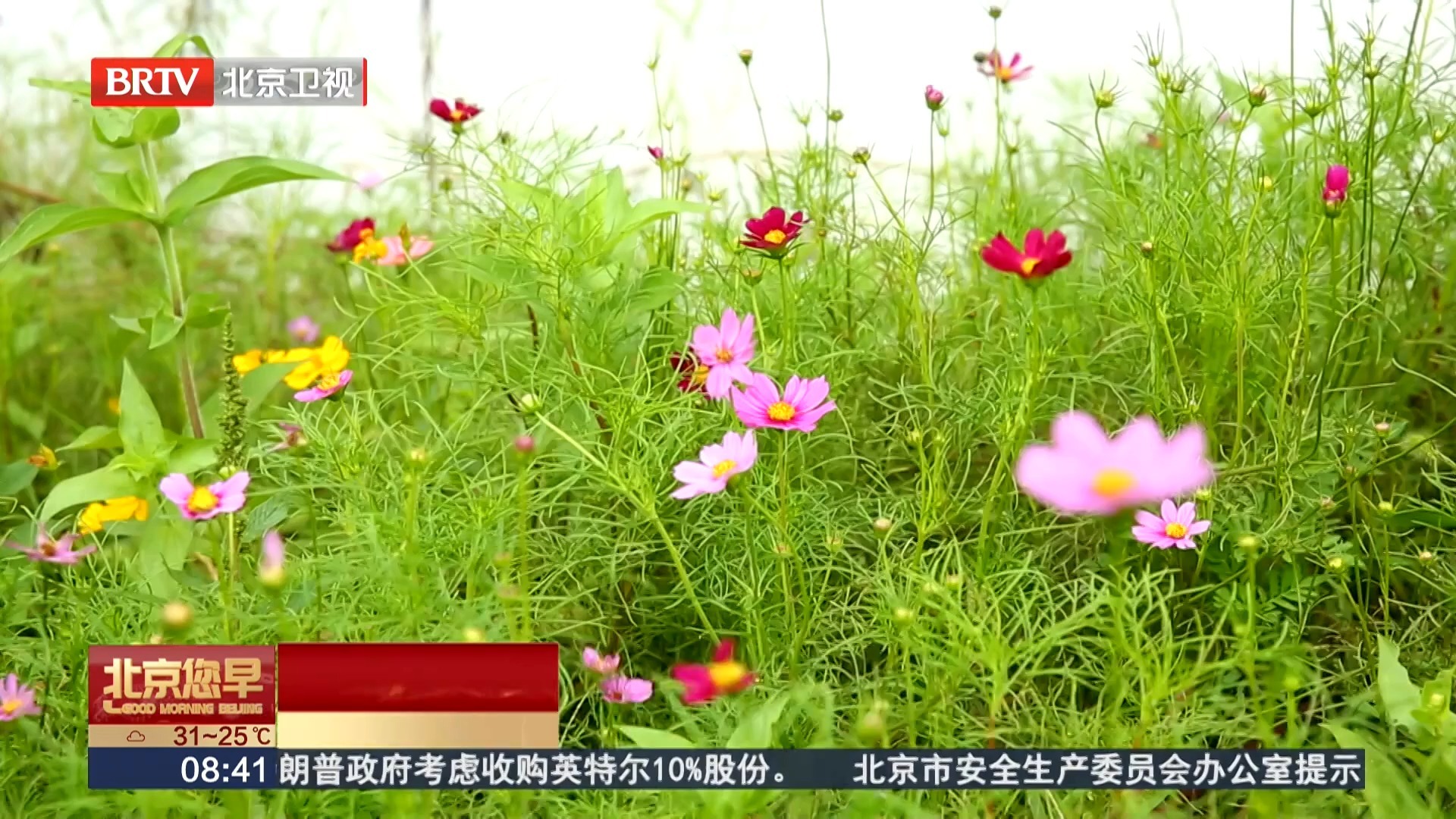 从做潮牌到开民宿：谷孝岳的“有山”新事业！