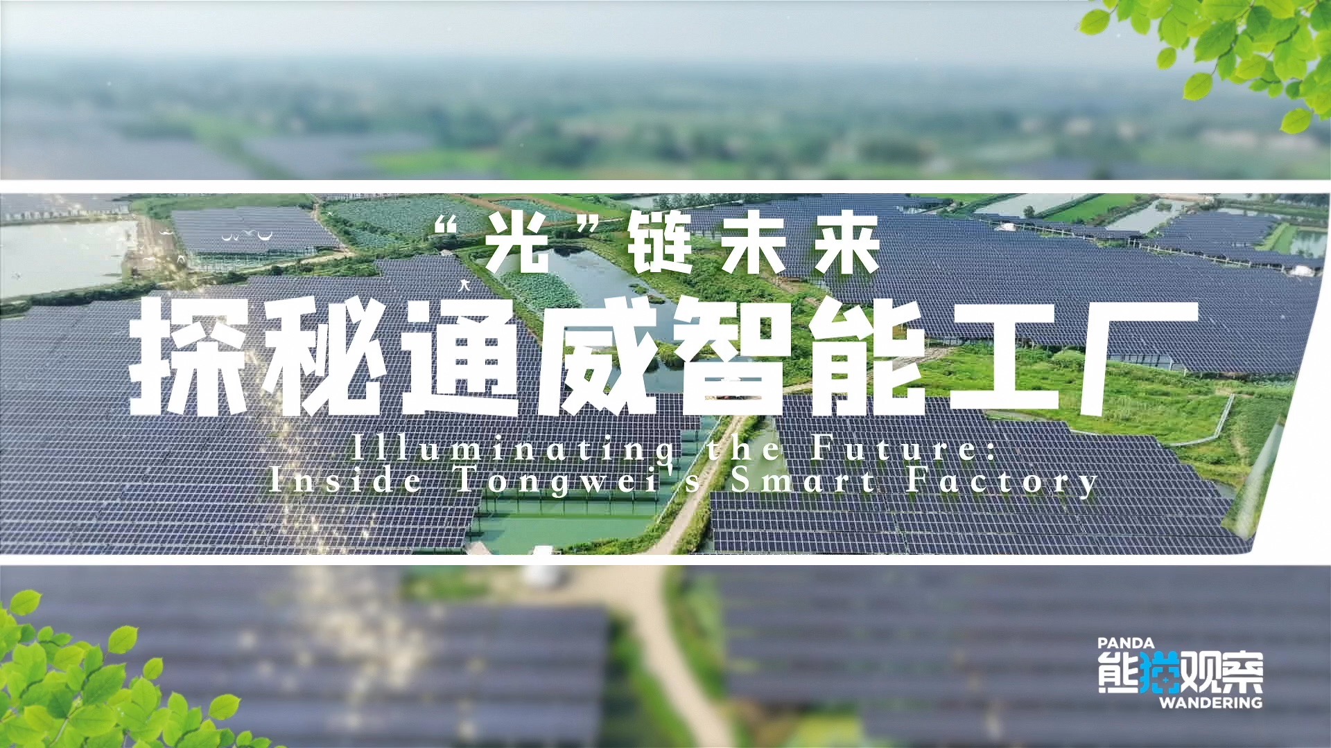 走进通威太阳能科技金堂基地，了解中国光伏智造如何用“新质生
