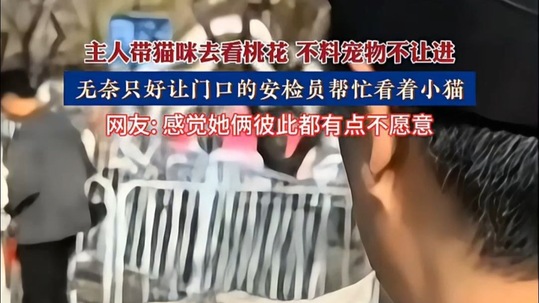 主人带猫咪去看桃花，不料宠物不让进，无奈只好让门口的安检员帮