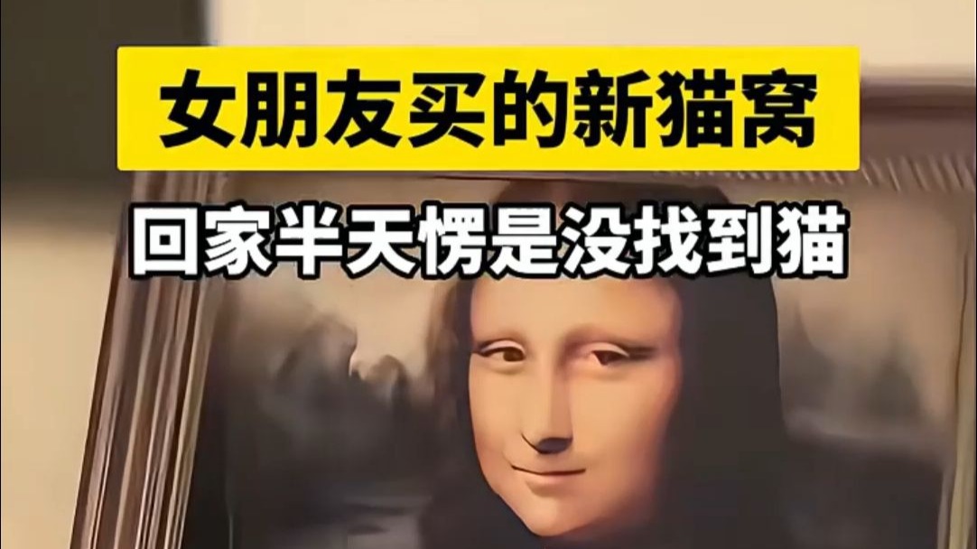 女朋友买的新猫窝，回家半天愣是没找到猫。