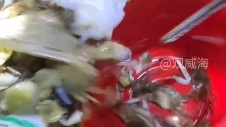近日，山东威海。赶海人的新赛道！手电筒地毯式搜索，实现海货自由