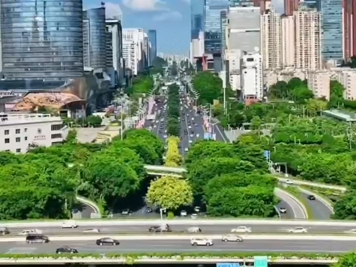 花会沿路盛开，我们的未来也是！跟宇辉一起大步向前，走向南宁的春
