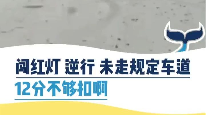 闯红灯 逆行 未走规定车道 12 分不够扣啊