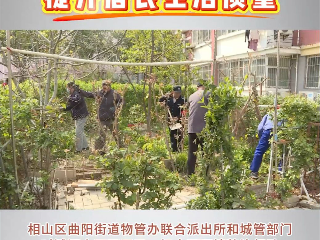 清理整治小区环境  提升居民生活质量