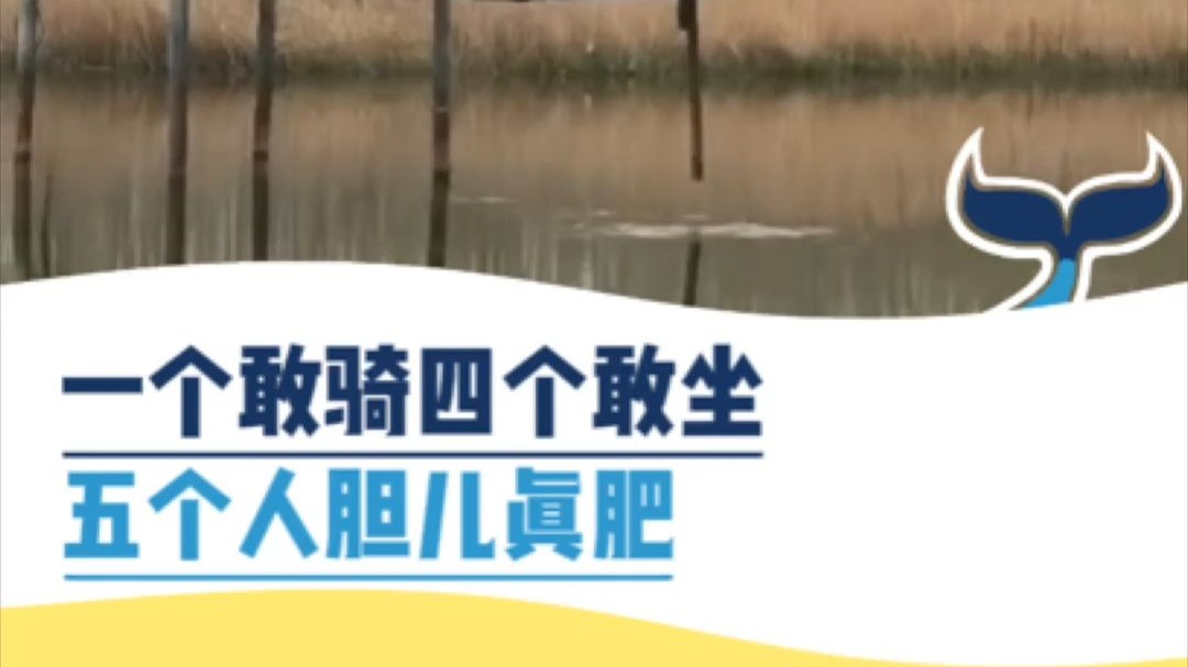 五个人的胆儿真肥