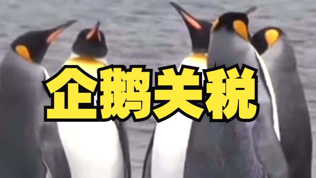 美国关税大棒连企鹅都不放过，这是要收Q币吗？