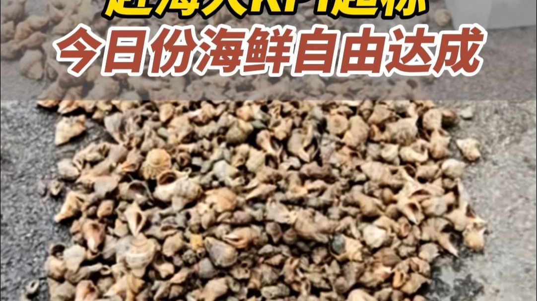 8月15日，山东威海。赶海赶到崩溃，东西太多，捡都捡不完.......是