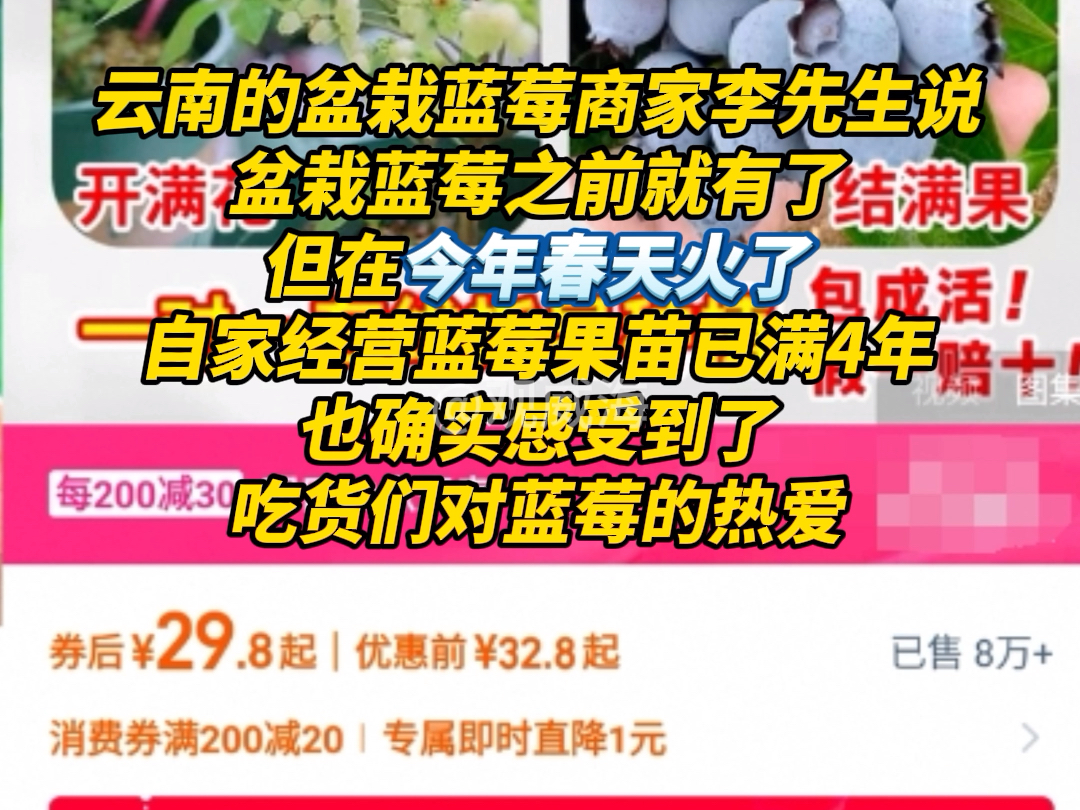 用意想不到的方式实现“蓝莓自由”，蓝莓盆栽突然火了！销量暴涨