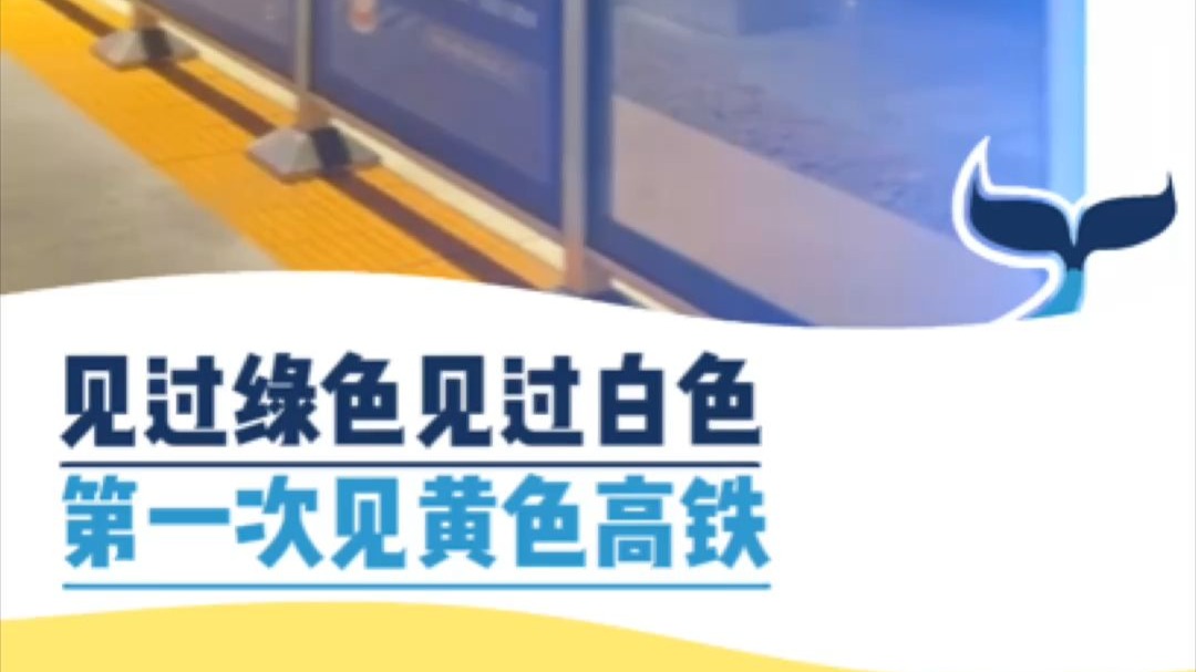 见过绿色见过白色，第一次见黄色高铁