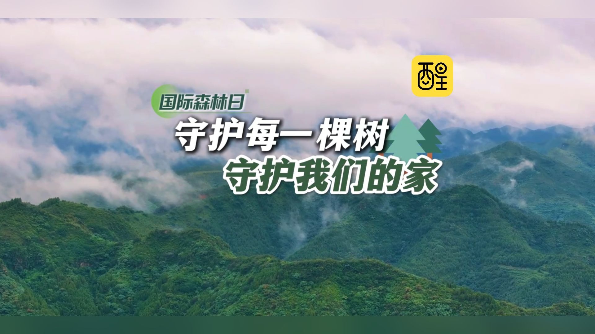 国际森林日｜“绿肺”，是生命的摇篮，更是我们共同守护的家园