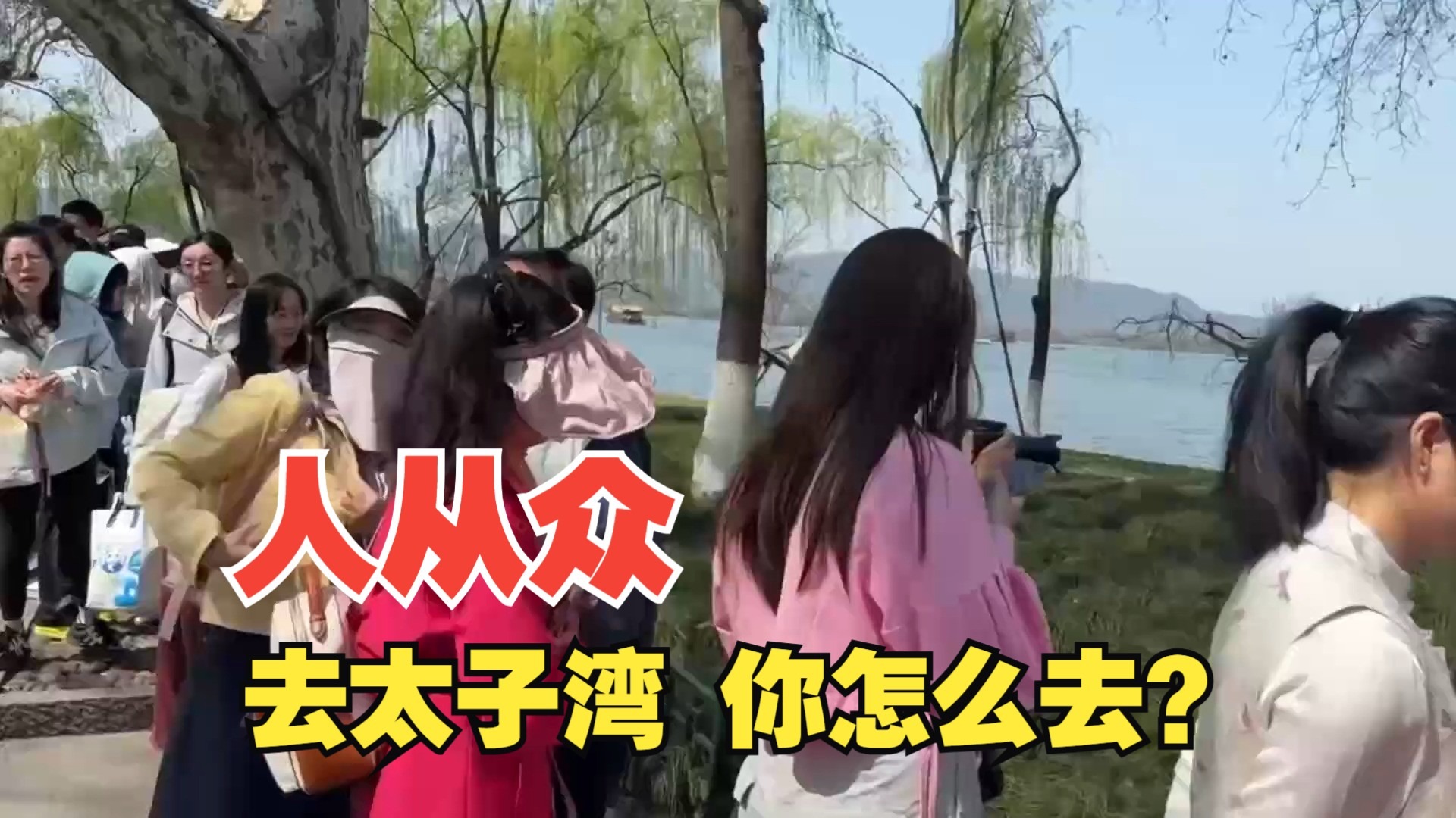 【明珠新闻】去太子湾赏花 你选游船还是公交？