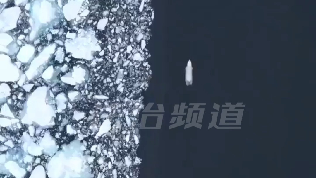 有记录显示 一只北极熊  连续旅行9天没有停下来