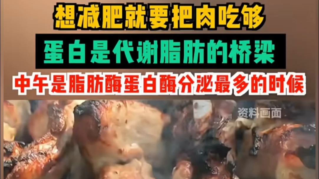 想减肥就要把肉吃够，蛋白是代谢脂肪的桥梁，中午是脂肪酶蛋白酶