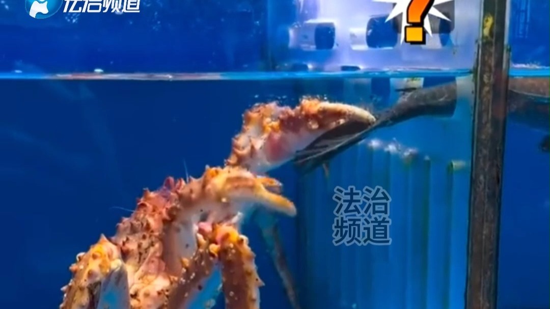 网友在超市生鲜区拍下的一幕  都是同事 你怎么还吃上自助了