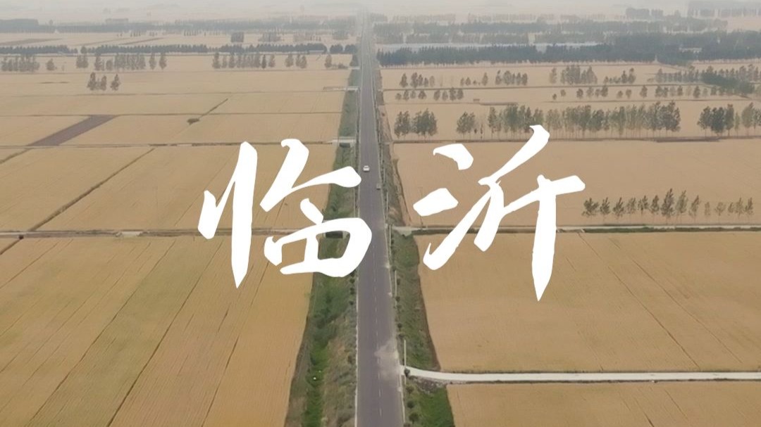 临沂用“科技犁笔”在万亩土地上，书写着新时代的“粮安奇迹”
