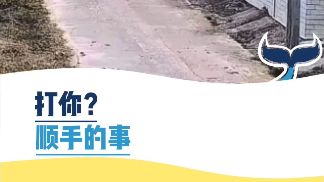打你？顺手的事儿