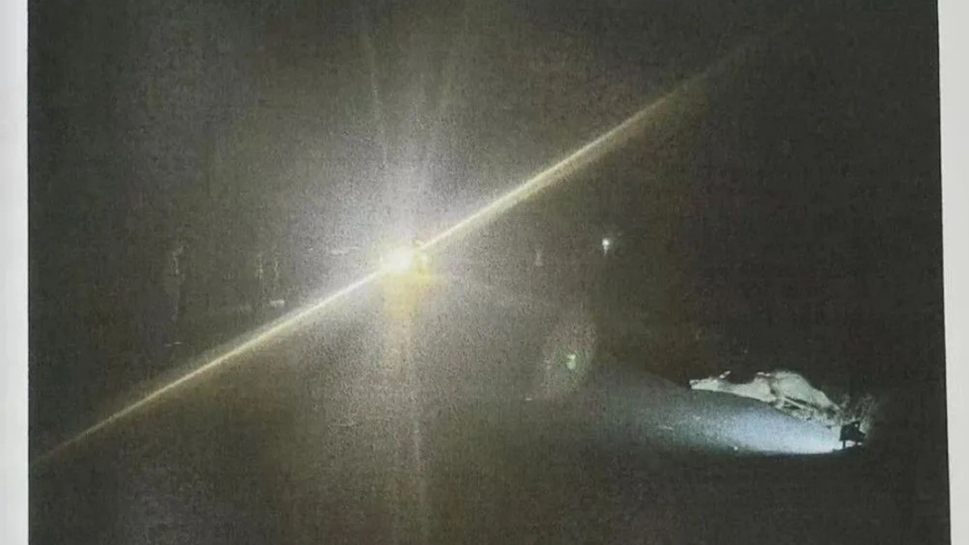 一头野生麋鹿在海堤公路被货车撞死！谁来赔？法院判了