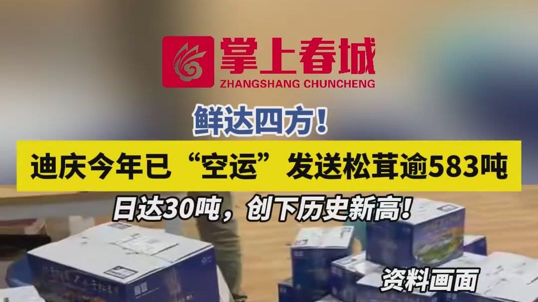 鲜达四方！ 迪庆今年已“空运”发送松茸逾583吨 日达30吨，创下