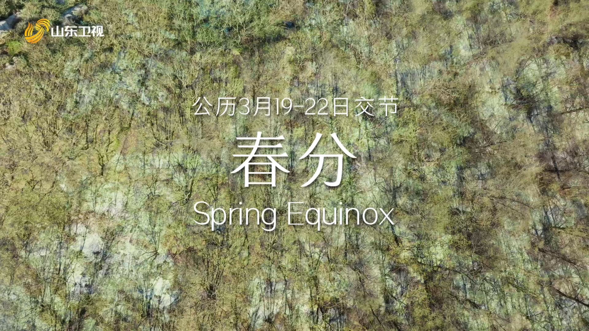 春分至，燕归来，已是酿花天气，来平分一场诗意的昼夜韶华。