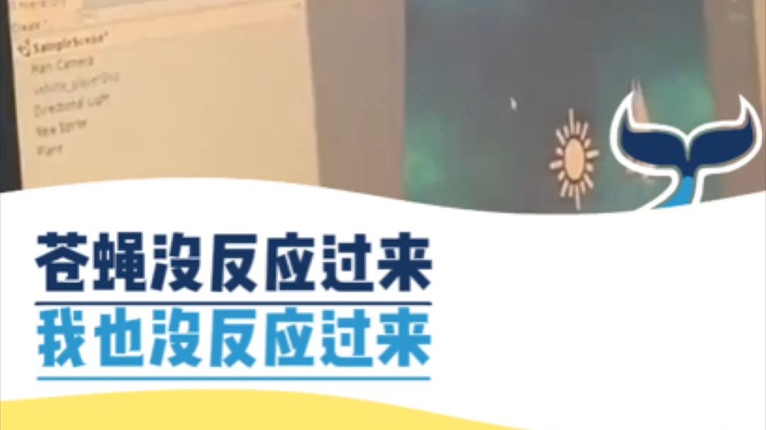 苍蝇没反应过来！我也没反应过来！