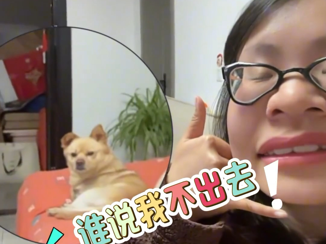 严重怀疑狗子能听懂人话？每个关键词都反应对了