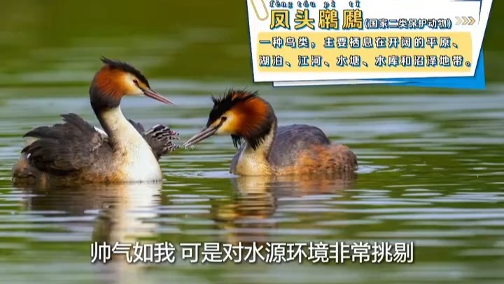 跟总书记学方法 乌梁素海有了大变化