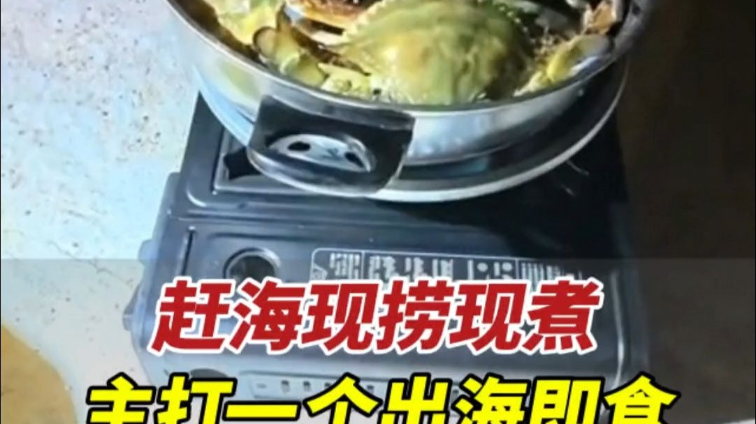 近日，山东威海。男子带队赶海现捞现煮，只为让游客吃到这一口威