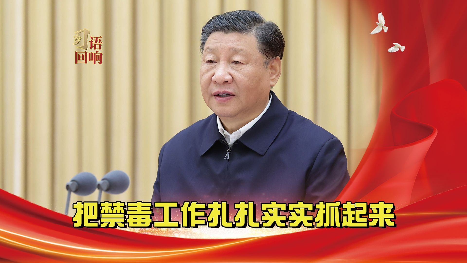 习语回响丨把禁毒工作扎扎实实抓起来