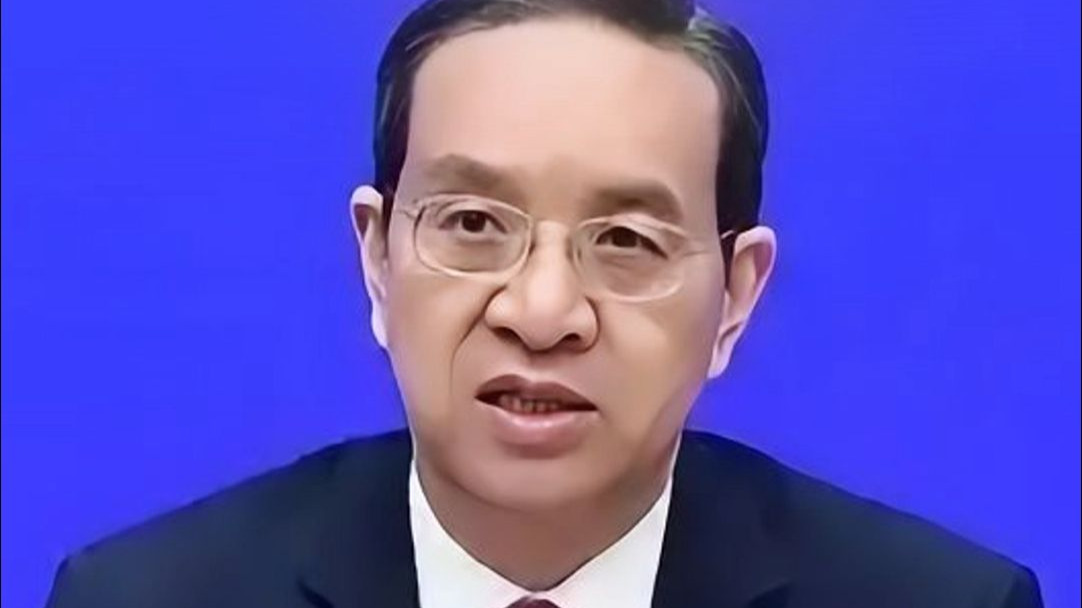 蒋超良被提请罢免全国人民代表大会大代表，曾任湖北省委书记。