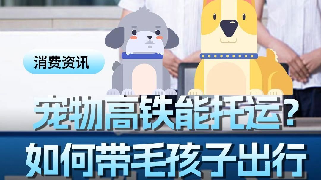 宠物高铁能托运？如何带毛孩子出行