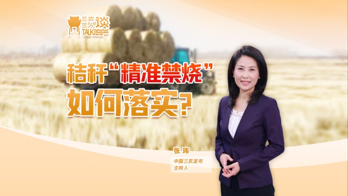 三农三人谈丨秸秆“精准禁烧”如何落实？